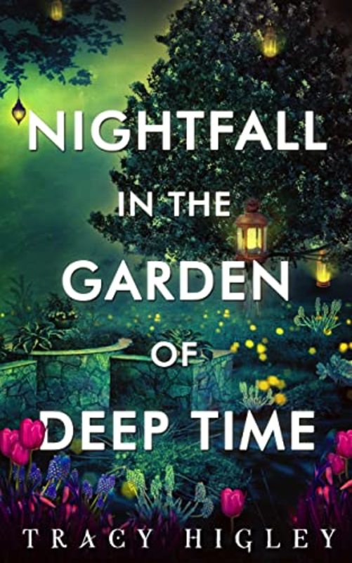 Tracy L Higley book cover