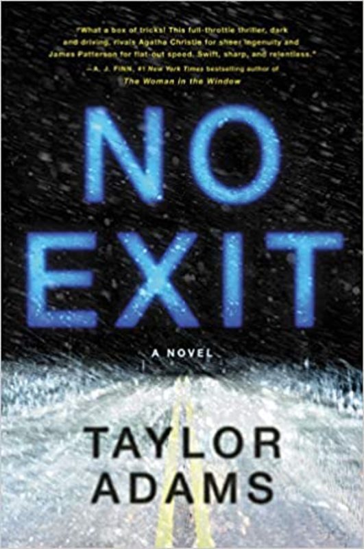 Taylor Adams book cover