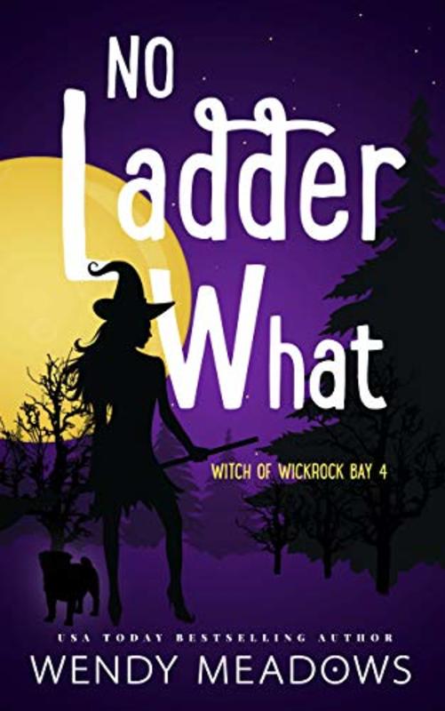 Book cover for "No Ladder What" by Wendy Meadows