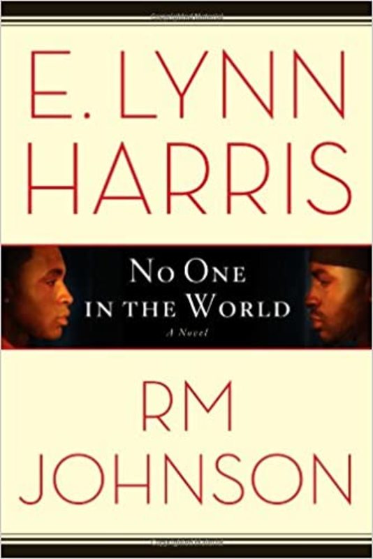 E Lynn Harris book cover