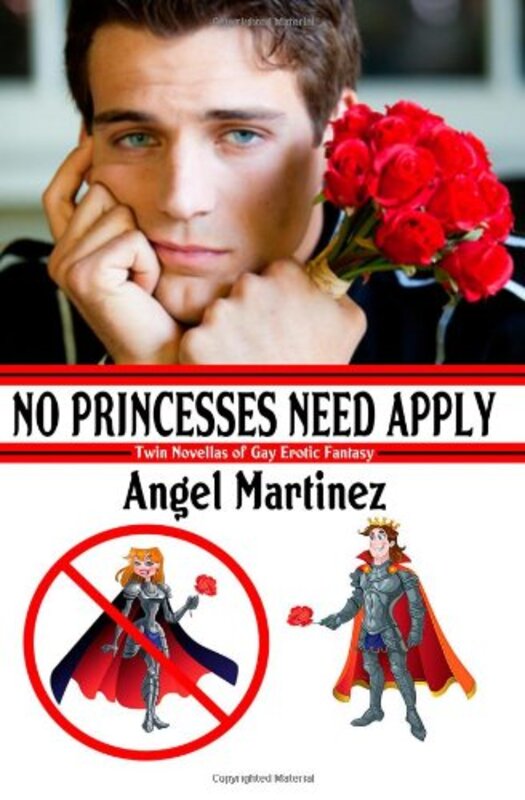 Book cover for "No Princesses Need Apply" by Angel Martinez