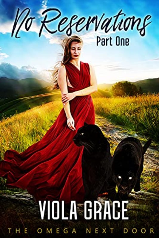 Book cover for "No Reservations Part One" by Viola Grace