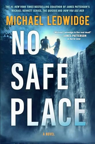 Michael Ledwidge book cover