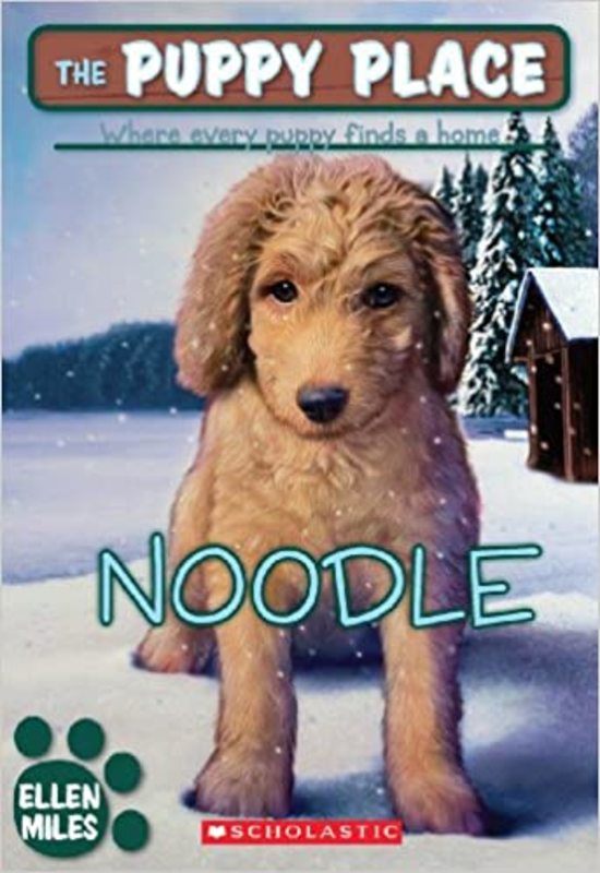 Book cover for "Noodle" by Ellen Miles