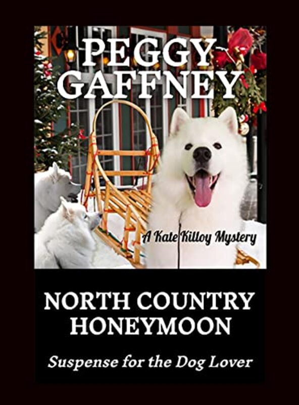 Kate Killoy Mystery book cover