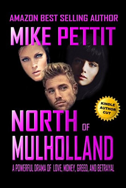 Book cover for "North of Mulholland" by Mike Pettit
