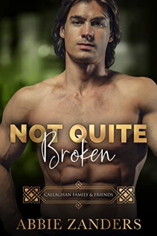 Book cover for "Not Quite Broken" by Abbie Zanders