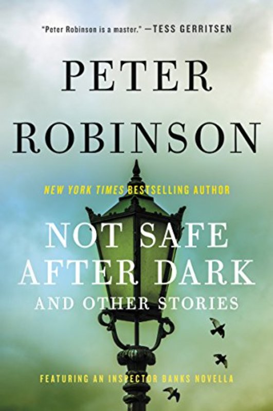 Book cover for "Not Safe After Dark" by Peter Robinson