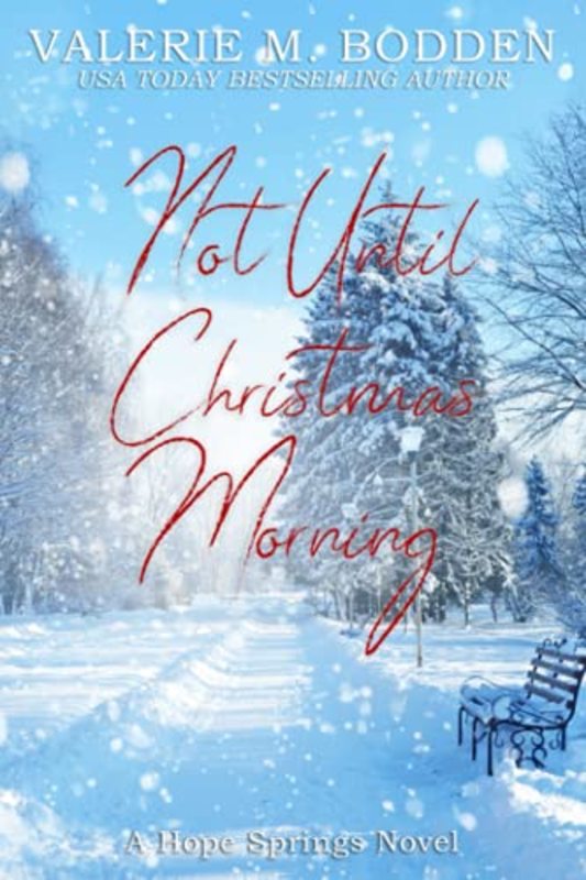 Book cover for "Not Until Christmas Morning" by Valerie M Bodden