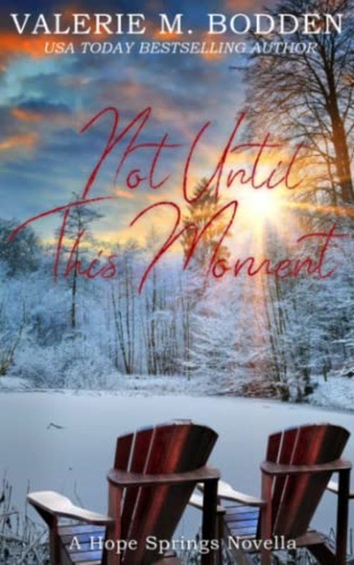 Book cover for "Not Until This Moment" by Valerie M Bodden