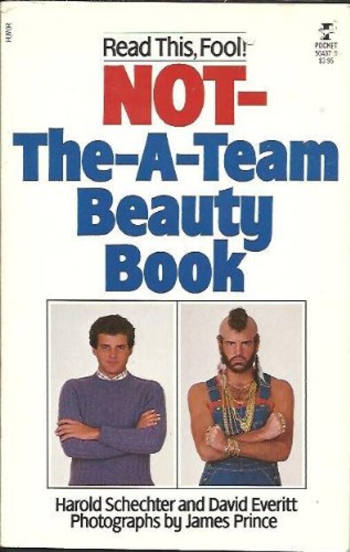 Book cover for "Not-The-A-Team Beauty Book" by Harold Schechter