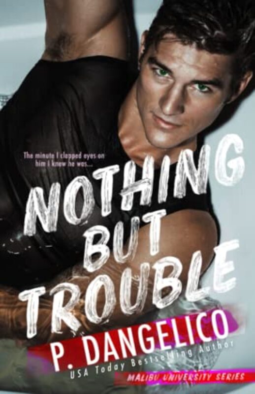 Book cover for "Nothing But Trouble" by P Dangelico
