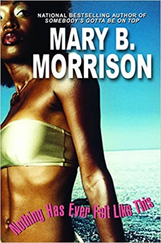Book cover for "Nothing Has Ever Felt Like This" by Mary B Morrison