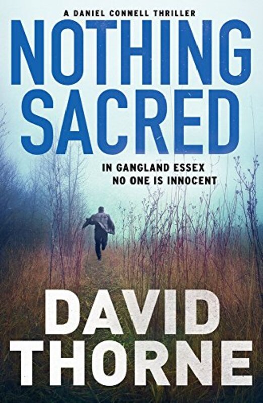 Book cover for "Nothing Sacred" by David DB Thorne