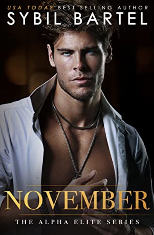 Book cover for "November" by Sybil Bartel