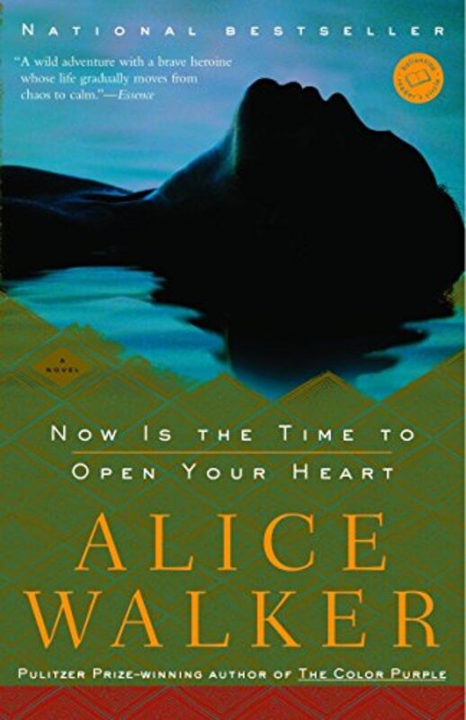 Book cover for "Now Is the Time to Open Your Heart"