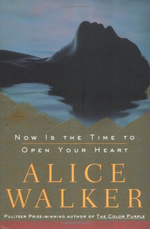Book cover for "Now Is the Time to Open Your Heart"