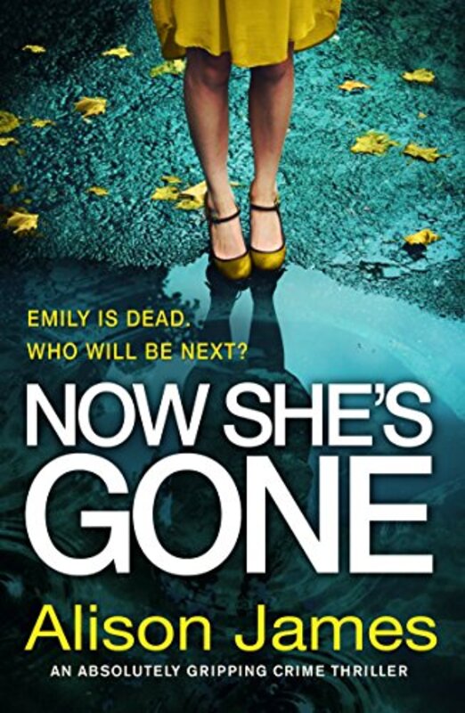 Book cover for "Now She's Gone" by Alison James