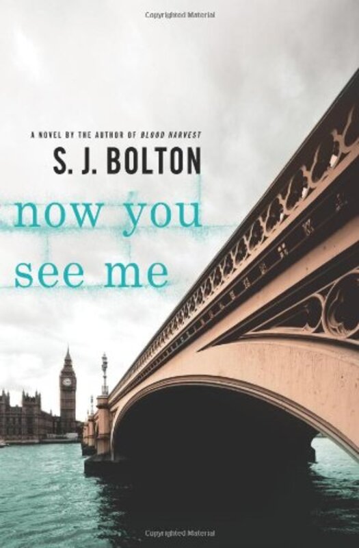 Book cover for "Now You See Me" by Sharon (SJ) Bolton