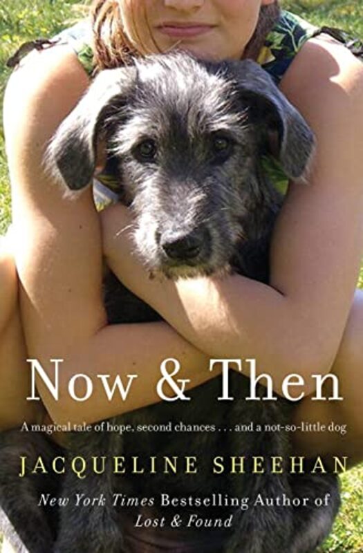 Book cover for "Now and Then" by Jacqueline Sheehan