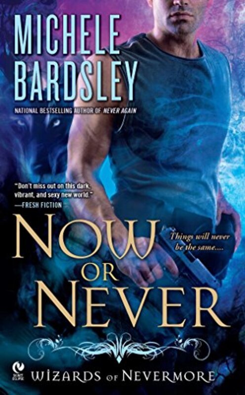 Book cover for "Now or Never" by Michele Bardsley