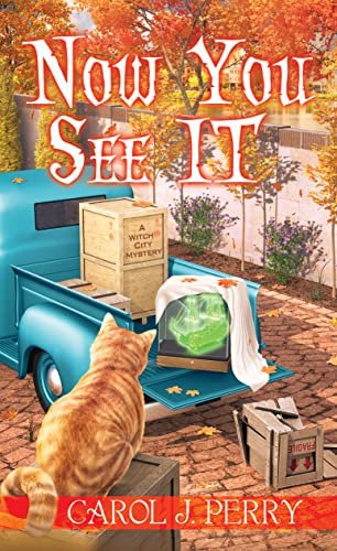 Book cover for "Now You See It" by Carol J Perry