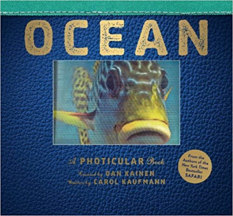 Book cover for "Ocean" by Dan Kainen