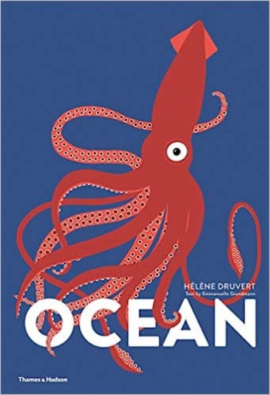 Book cover for "Ocean" by Helene Druvert