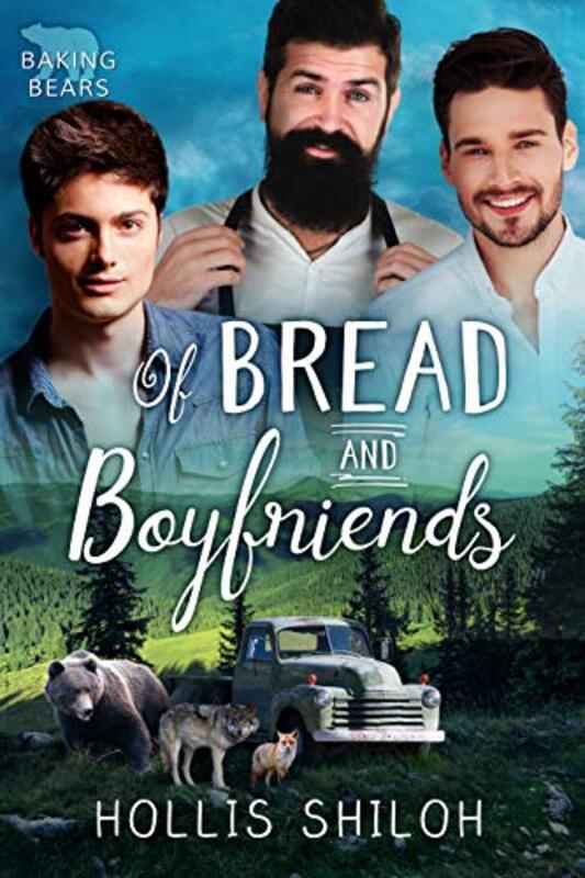 Hollis Shiloh book cover