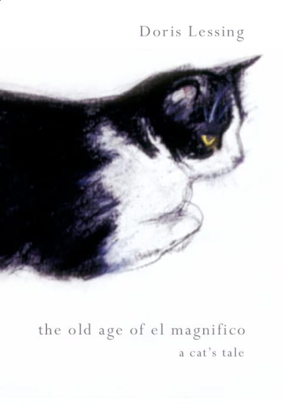 Book cover for "Old Age of El Magnifico" by Doris Lessing