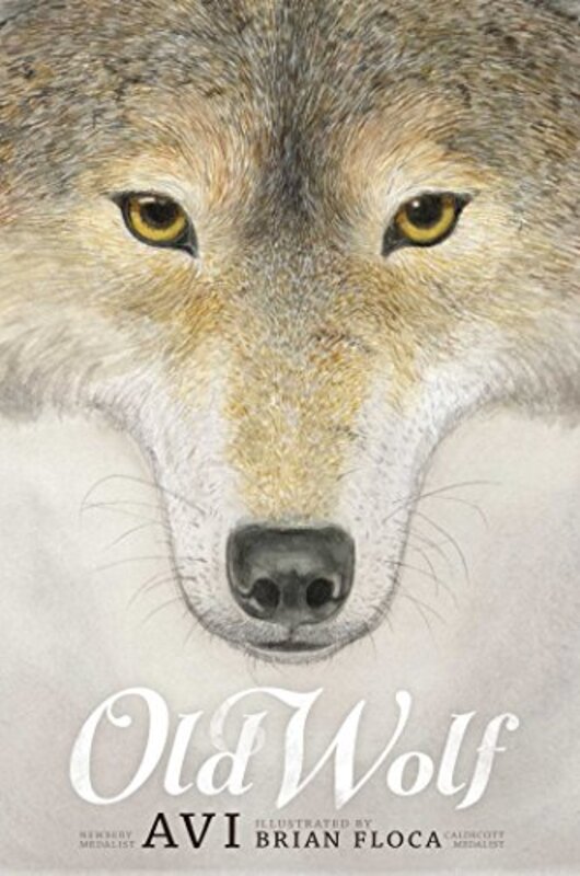 Book cover for "Old Wolf" by Avi