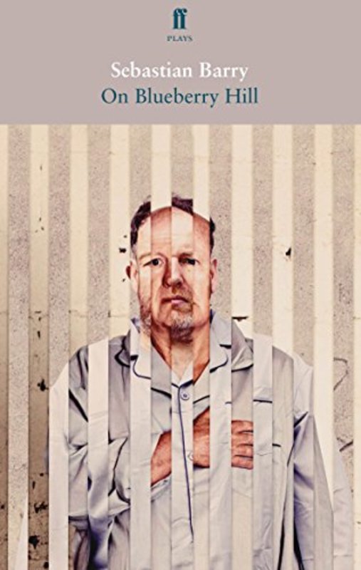 Book cover for "On Blueberry Hill" by Sebastian Barry
