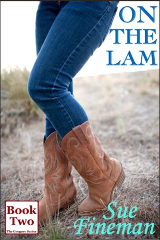 Book cover for "On the Lam" by Sue Fineman