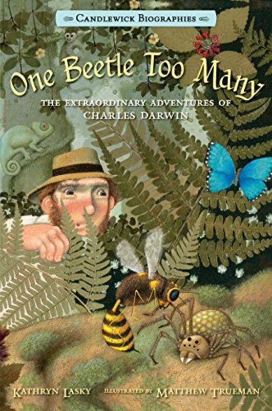 Book cover for "One Beetle Too Many" by Kathryn Lasky