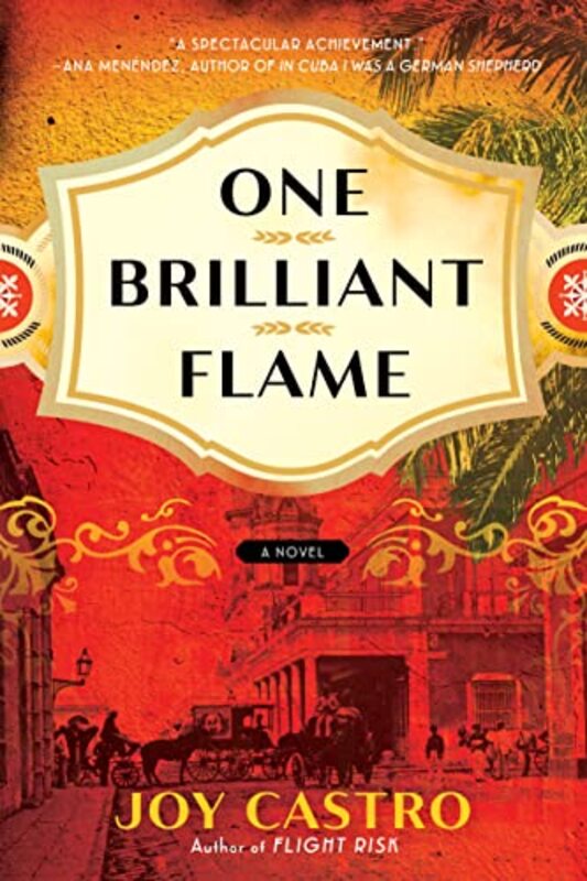 Book cover for "One Brilliant Flame" by Joy Castro
