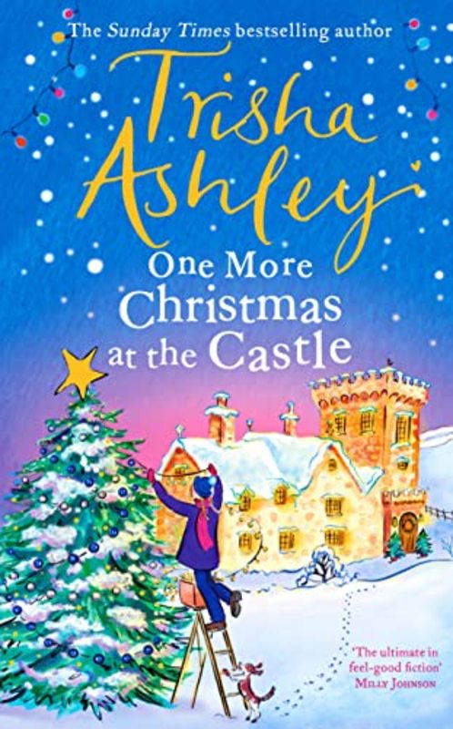 Trisha Ashley book cover