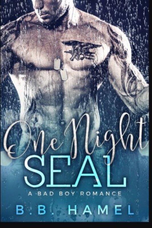Book cover for "One Night SEAL" by BB Hamel