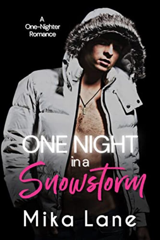 Book cover for "One Night in a Snowstorm" by Mika Lane