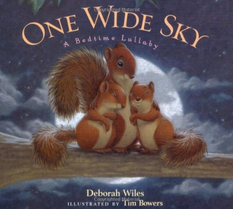 Book cover for "One Wide Sky" by Deborah Wiles