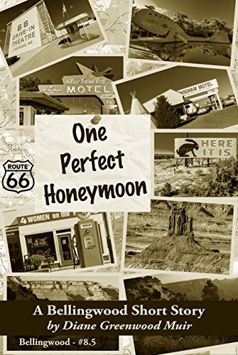 Book cover for "One Perfect Honeymoon" by Diane Greenwood Muir
