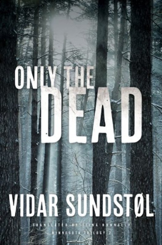 Vidar Sundstol book cover