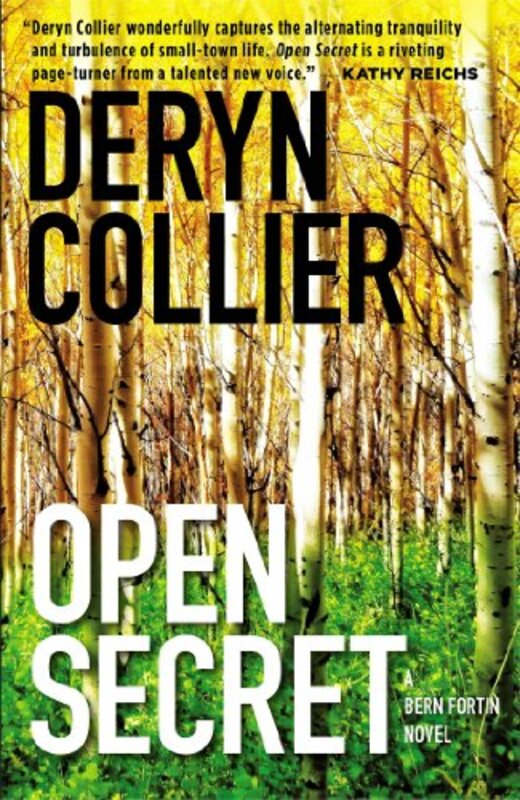 Book cover for "Open Secret" by Deryn Collier