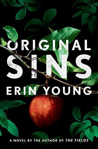 Robyn Young book cover