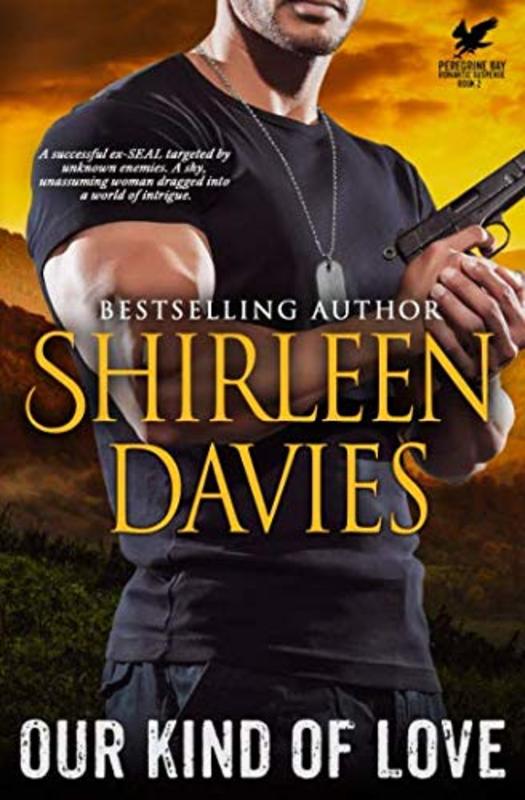 Book cover for "Our Kind of Love" by Shirleen Davies