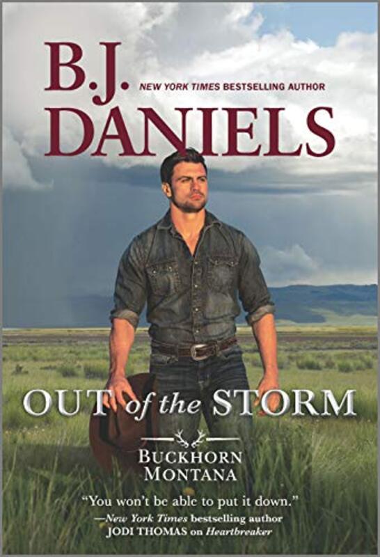 Book cover for "Out of the Storm" by BJ Daniels