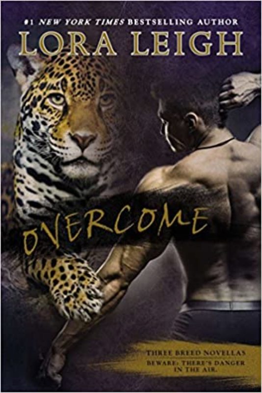 Book cover for "Overcome" by Lora Leigh