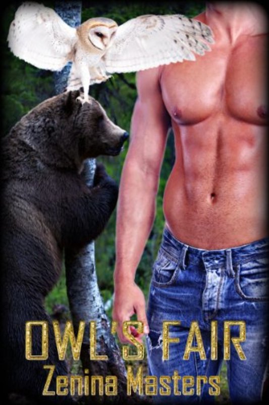 Book cover for "Owl's Fair" by Viola Grace