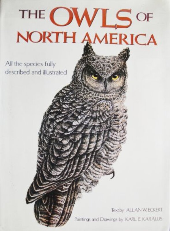 Book cover for "Owls of North America" by Allan W Eckert