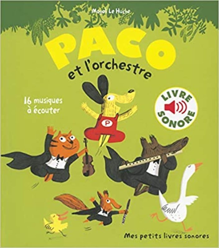 Book cover for "Paco et L'Orchestre" by Magali Le Huche