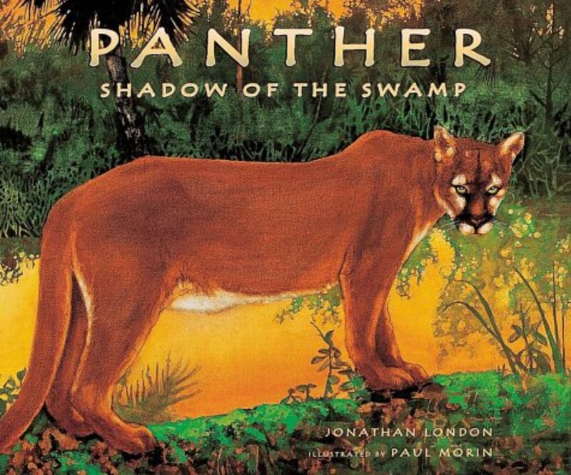 Book cover for "Panther" by Jonathan London